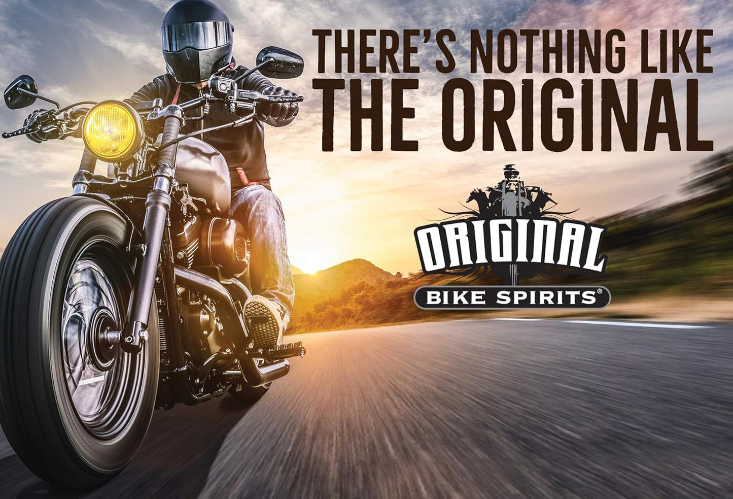 Original Bike Spirits Spray Cleaner and Polish 14 Ounce 1039615 (Pack of 2)